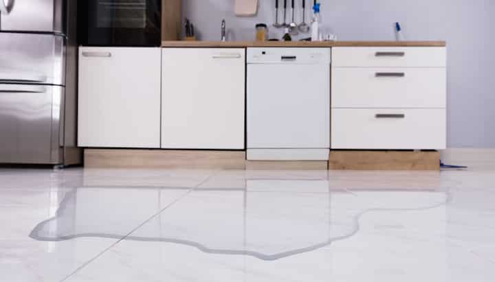 water damage cleanup